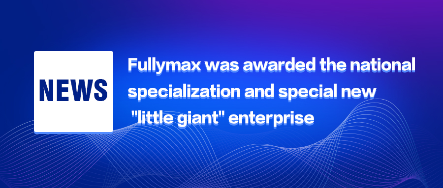 Fullymax was awarded the national  specialization and special new 